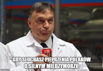 rzep - > Coś trzeszczy w tym Międzymorzu. I to już na etapie członków założycieli. (╯...