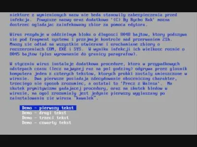 Czayen - Pamiętam, że uwielbiałem czytać opisy poszczególnych wirusów na dyskietkach ...
