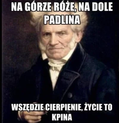 przewygryw - Brakuje mi tych memów
#schopenhauer #dziendobry