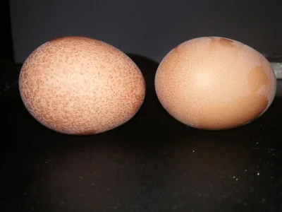 KrzysiuPG - To ile jajko ma tych "piegów" ma jakieś znaczenie czy efekty? Dlaczego ni...