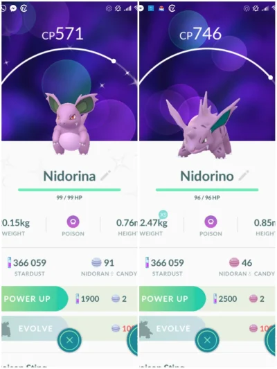 Foxterrier - Shiny Nidorina, patrzcie he he baba za chłopa się przebrała, no nie mogę...