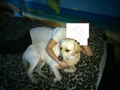 Gin - @nat89: Przez chwilę myślałem, że ktoś wrzucił mojego psa zdjęcie do neta:D Mam...