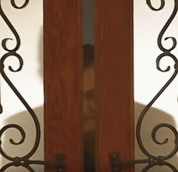 vaxx - #tracz #traczcontent #janusztracz #heheszki