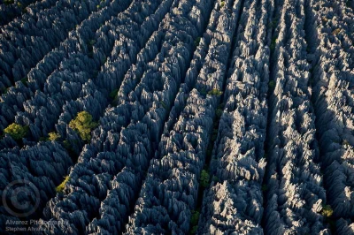 Mesk - Kamienny las na Madagaskarze #podroze #ciekawostki #fotografia #nadskaly #geol...