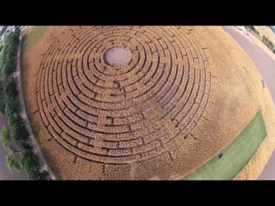 soaringsing - #drony #wroclaw 
Widok z drona na nową edycję labiryntu w kukurydzy po...