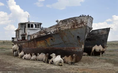 likk - "okręty pustyni"

SPOILER

#kazachstan #zwierzeta #wielblady
