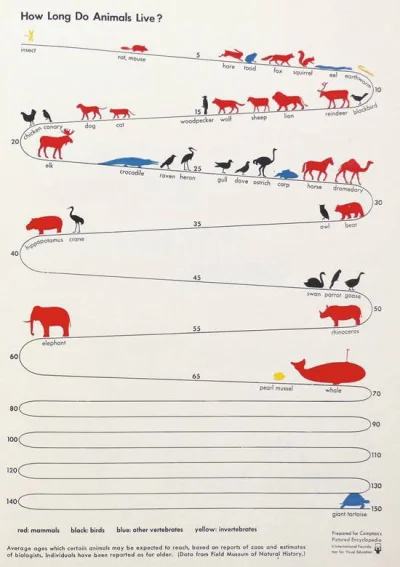 Chulio - Długość życia zwierząt
#infografika #zwierzeta #ciekawostki