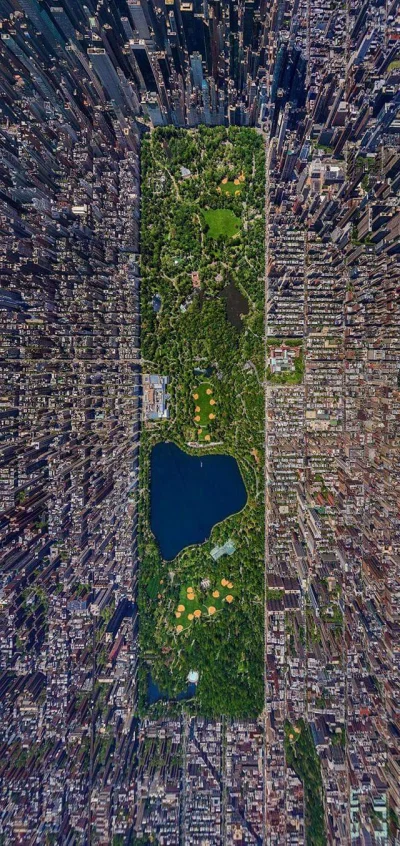 erysipelothrix - Central Park w Nowym Yorku
#earthporn #nieboperfekcjonistow #fotogr...