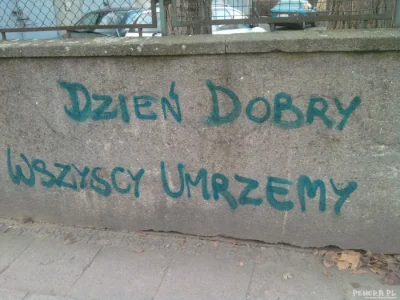 fizzly - #dziendobry #poniedzialek