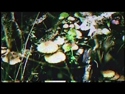 DeadInside - #teledysk #trap #vhs #urbex #tworczoscwlasna #muzykafilmowa 
Nagrałem o...