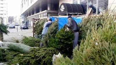 polejboniewyrobie - z takich zyciowych osiagniec to kiedys jak wyprowadzalem sie od m...