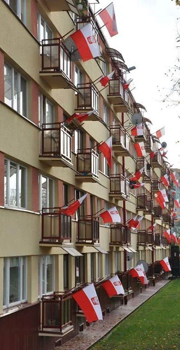d.....n - Patrzeć i uczyć się. 

#patriotyzm #ruchnarodowy #polska #4konserwy #flagap...