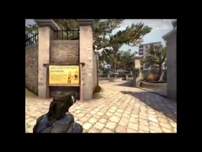 Hadzik - #csgo