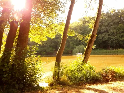 Obecnym - Lubię te spokojne popołudnia. (｡◕‿‿◕｡) 

Wszechobecna cisza, która ukaja mó...