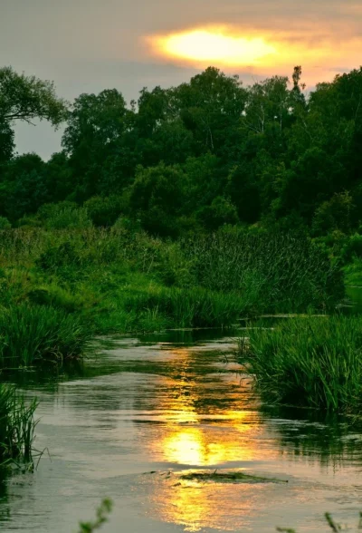 podwawelska - #mojezdjecie #fotografia #tworczoscwlasna