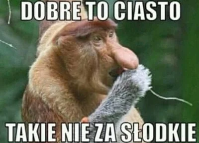 popik3 - To już dwa tygodnie obchodów! Czas to uczcić kawałkiem ciasta ( ͡° ͜ʖ ͡°)

...