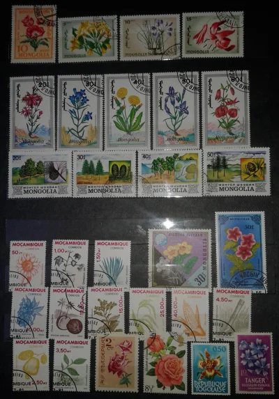 S.....r - Taka trochę #mikroreklama ( ͡° ͜ʖ ͡°)
Zbieram znaczki, a jeśli jest ktoś c...
