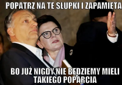 zdraj-ca - nosil wilk razy kilka #heheszki #bekazpisu #bekazprawakow