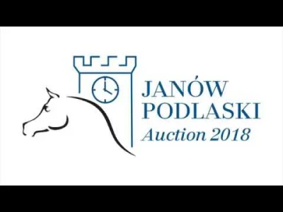 lakukaracza_ - Janów Podlaski Auction 2018