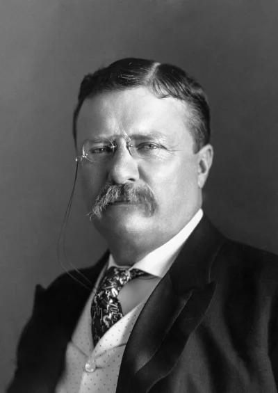 Wariner - Dwudziesty Szósty Prezydent USA – Theodore Roosevelt
Ur. 27 października 1...