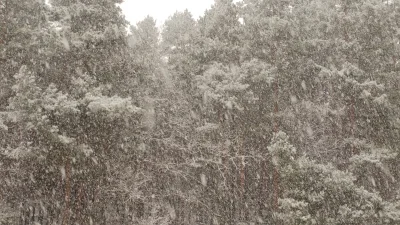 user_Adrian - Ale sypie ( ͡° ͜ʖ ͡°)
#snieg #zielonagora #bialegowno #zalesie