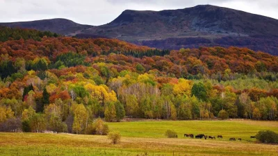 B.....n - @kaosha: Bieszczady! (ง✿﹏✿)ง
 Masz ty RiGCz? Takiego smaka robić...