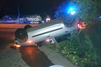 grishko - 25 czerwca 2017, Jasienica, ul. Strumieńska na wysokości posesji nr 86, god...