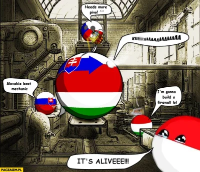 AdrianV91 - Jeszcze niech wygrają Słowacy i bracia Węgrzy dzisiaj to będzie pełnia sz...