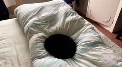 missclick - #koty #heheszki
czarna dziura