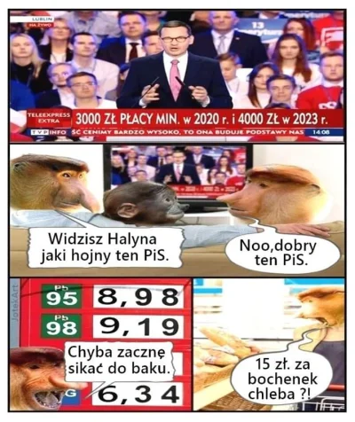 Enavax - #polak #humorobrazkowy #bekazpisu #nosaczsundajski #polityka