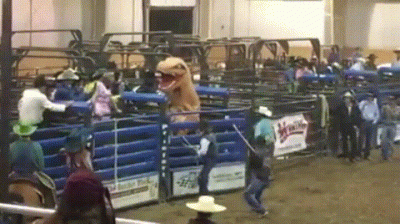 rancosster - #heheszki #wtf #rodeo
