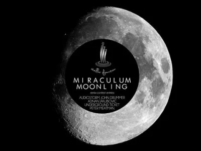 slash - MiraculuM - Moonling (Adnan Jakubovic Unofficial Remix)



#muzykaelektronicz...