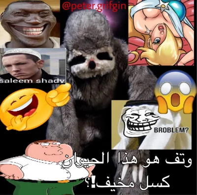 janielubie - Łapie ktoś te arabskie memy?