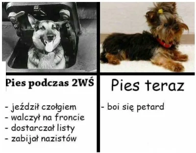 Naturmensch - @DasAchtung: 
Non sequitur. Stosujesz na tyle pokrętną (nie)logikę , że...