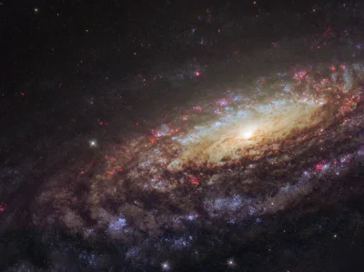 ntdc - Galaktyka spiralna znana jako NGC 733, pierwszy raz zaobserwowana przez Willia...