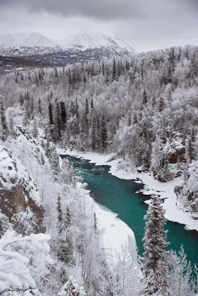 f.....y - tym razem piękna Alaska #pornearth #natura #podroze #marzenia #gownowpis