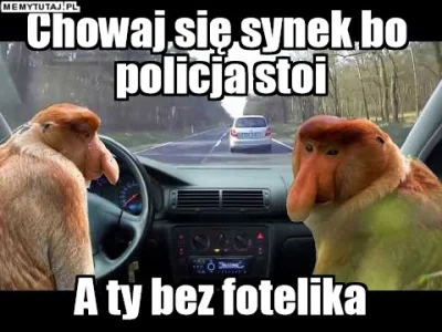 PawelW124 - #humor #heheszki #polak #nosaczsundajski #nosacz #januszemotoryzacji #pol...