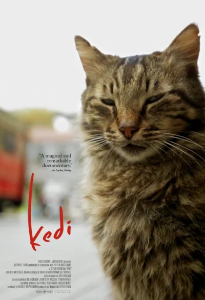 angelosodano - Kedi - sekretne życie kotów_
SPOILER
#vaticanocinema #koty #film #fi...