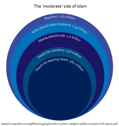 shahid - @43eme35: 
99% muzułmanów nie ma nic wspólnego z islamizmem
Źródło: Instytu...