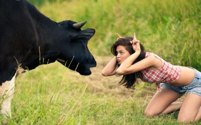 b.....h - #ladnapani #krowa #cow