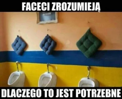 Pesa_elf - #heheszki #humorobrazkowy #takaprawda #pdk