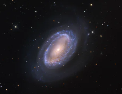 d.....4 - NGC 4725

#kosmos #astronomia #conocjednagalaktyka
#dobranoc