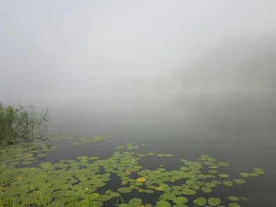 frusio - Dla takich widoków warto wcześnie wstawać. #wedkarstwo #przyroda #fotografia