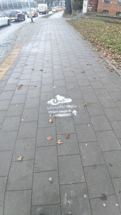 pawelczixd - czy tylko mnie wkurza takie sranie na chodniki i reklama za free? #gdans...