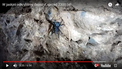 GregPelka - @KawiakJones: Nie tarantula a ptasznik ( ͡° ͜ʖ ͡°)
#grammarnazi
SPOILER