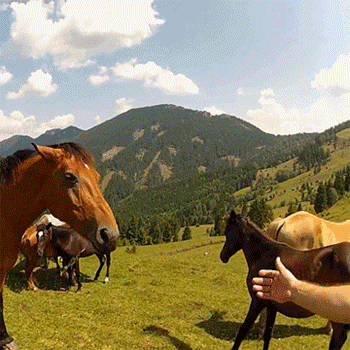 m.....k - #heheszki #wtf #wtfcontent