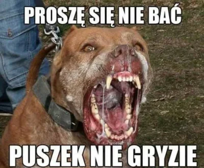 B.....7 - #heheszki #humorobrazkowy #smiesznypiesek #byloaledobre