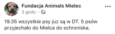 orchee - Update: psom na ten moment nic nie zagraża. Może kogoś cała ta akcja zainspi...