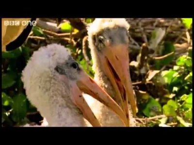 matiand1 - Moja reakcja gdy ktoś ogrywa Messiego 

#mecz