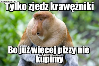 PawelW124 - #humor #heheszki #polak #nosacz #nosaczsundajski #jedzenie #pizza